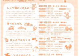 やさしいはくぶつかん行事（2023年度はる・なつ）