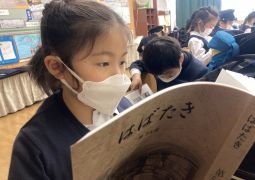 待ちに待ったはばたき！