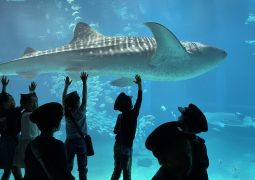 春の遠足に行ったよ！①