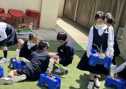 野菜を育てる準備をしよう！