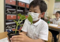 苗を植えたよ！