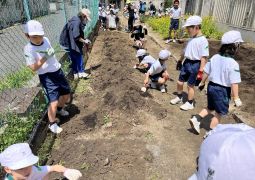 ふくろうガーデンに畝を作ったよ！