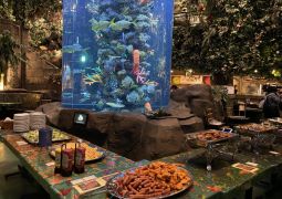 2023.05.11.修学旅行6