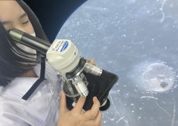 05.22.ゼンタングルフラワー開花！