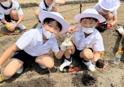 ５年生からもらった野菜を植えよう！