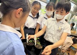 05.19.大事に育ててね