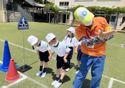 05.02. 止まれのススメ