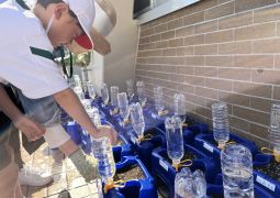 05.09. 早く お顔 見せてね あさがおさん！