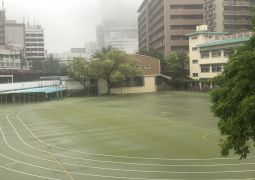 06.02.  一時の休息を