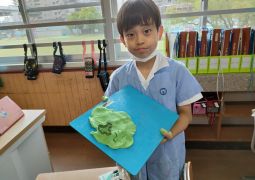 06.28.どんな色が好き？