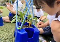 06.21. アサガオさん、おやつだよ！