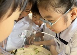 06.28. これは なに！？