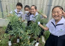 ひょうたんを植える準備をしよう！