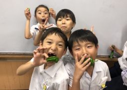 野菜の収穫楽しいなぁ！