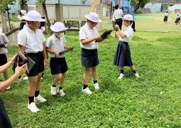 探せ！夏の生き物！！