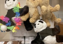 2023.07.06.臨海学舎3日目その6