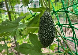 ８月２２日（火）の連絡