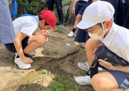 08.30.水の流れを調べると･･･