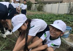 ありがとう、夏のお野菜！