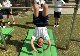 一人でワニを追い払おう！