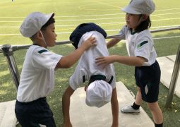 スイングでワニを追い払おう！！