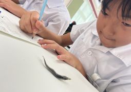 10.17.煮干しの解剖実験！？