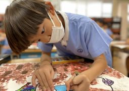 大きな木でどんなことをしたいかな？