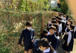 秋になった「ふくろうガーデン」