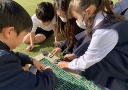 12.20.すごいぞ太陽パワー🌞！