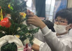 12.15.SDGsツリーをつくろう！