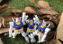 01.22.  最後の36日スタート！