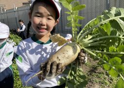 田辺大根ぬけました！！