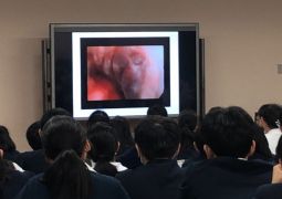 02.05. 命が生まれる奇跡