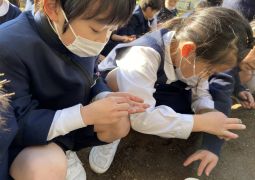 02.08. 元気に育ってね