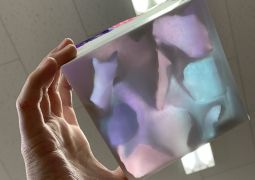 03.01.3年生最後の…