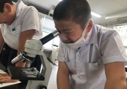 04.26. 木琴も威風堂々と