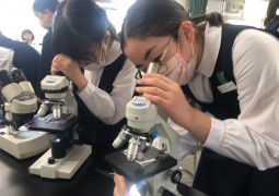 04.19.  It’s a small world!  花の世界に 感動！