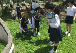 春の生き物みぃ～つけた！