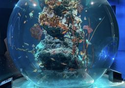 146期生　4年生春の遠足②