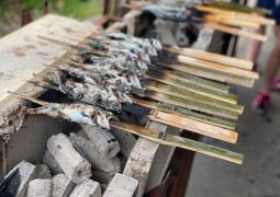 2024.05.23.林間学舎18