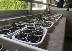 05.29. 芽が出ますように