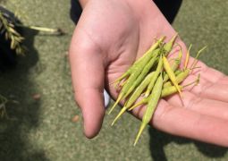 05.02.  収穫あり！