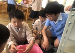 05.07. 連休終わり香港が見えてきた