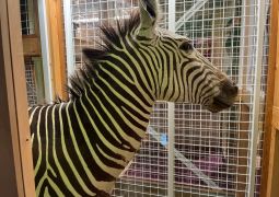 2024.04.08.修学旅行その8