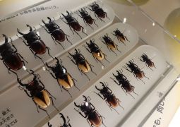 2024.05.08.修学旅行その6