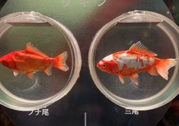 2024.05.08.修学旅行その7