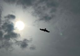 2024.05.23.林間学舎16