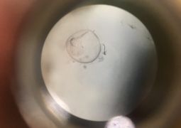 05.17. 145期！タマゴを観察！