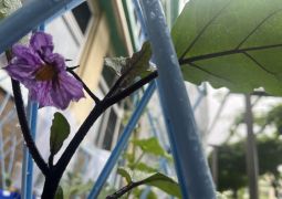 05.28. また あした！