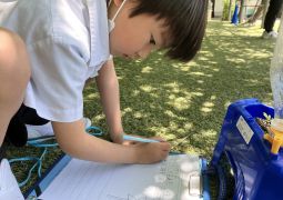 あさがおの🌱発見！！